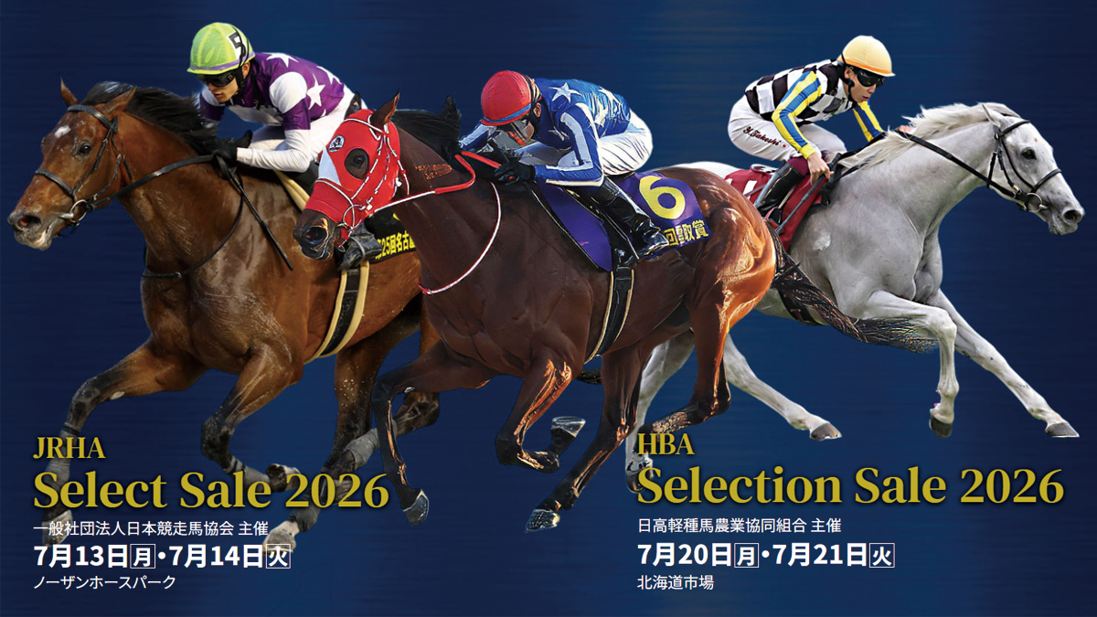 セレクトセール 2026】【セレクションセール 2026 】 - 追分ファーム