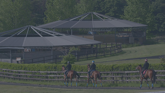 インターンシップについて