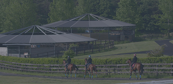 インターンシップについて